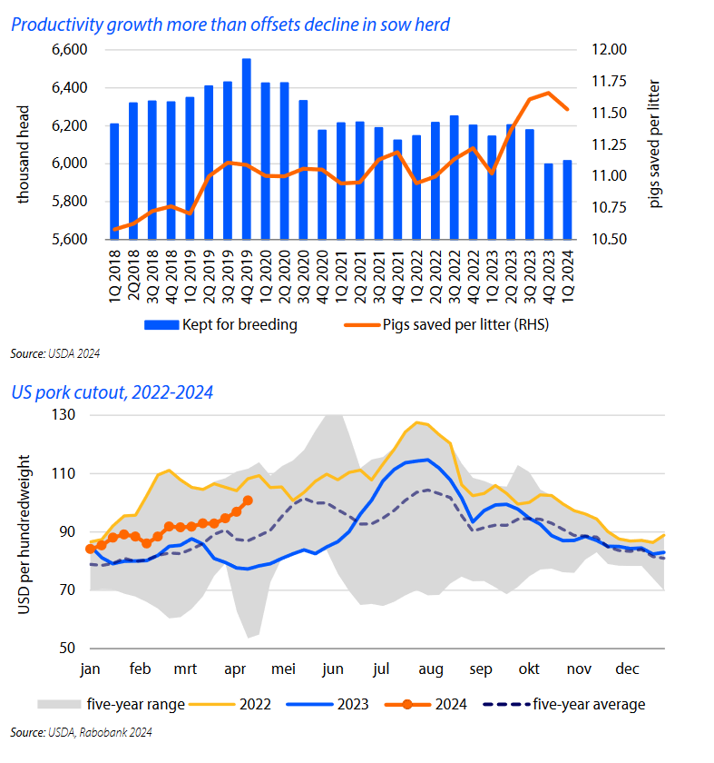 Rabobank Record: Sturdy Exports and Restricted Provide Enlargement Power Red meat Business Go back to Profitability – Swineweb.com