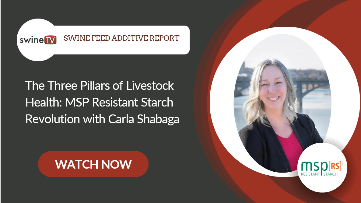 The Three Pillars Of Livestock Health: Msp Resistant Starch Revolution 