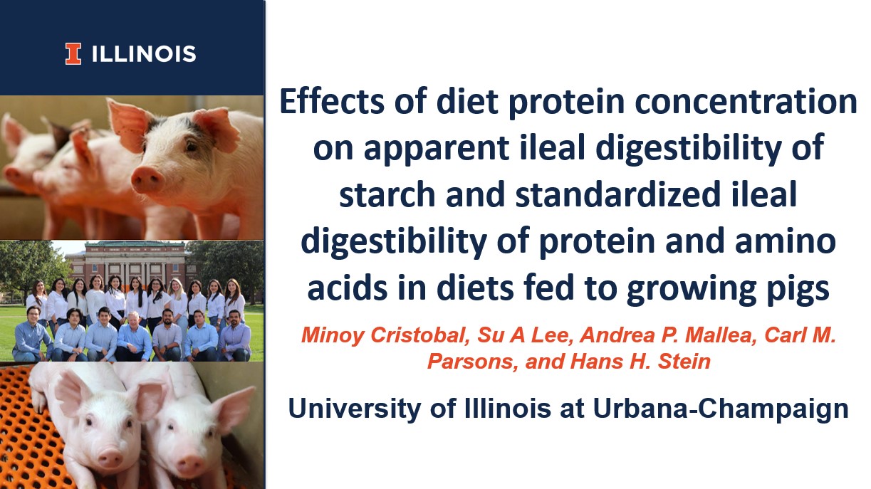 Effects of diet protein concentration on apparent ileal digestibility ...